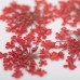 Molly Lac Dry Flower Red - Сухи цветя за декорация на нокти
